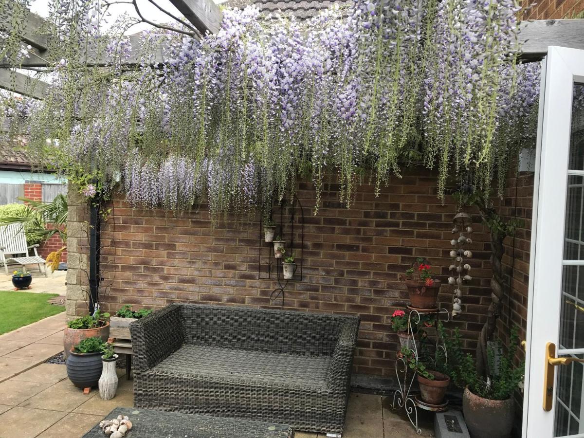 كرايستشيرش Bub Lane Cottage المظهر الخارجي الصورة